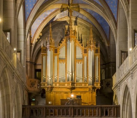 tribune